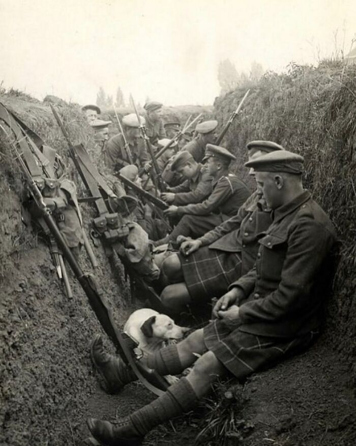 des hommes du seaforth highlanders se reposent dans une tranchée avec un chien pendant la première guerre mondiale, 1915