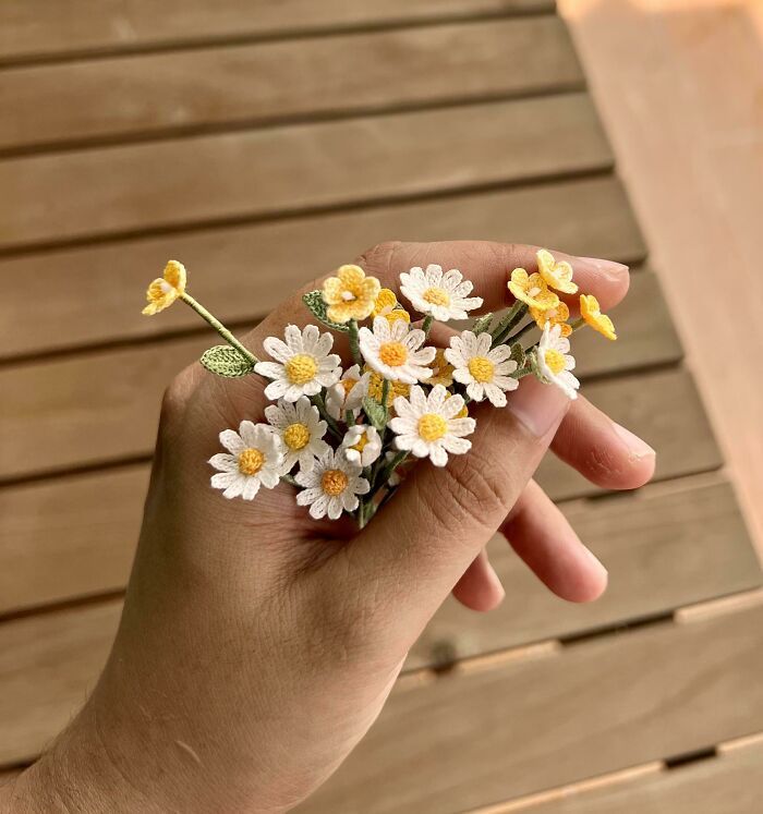 C’est la journée des marguerites aujourd’hui !