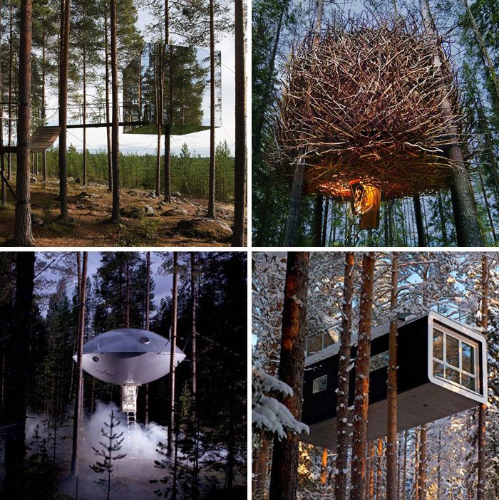 treehotel – des chambres uniques dans les arbres au design contemporain dans la nature à harads, près de la rivière lule, Suède