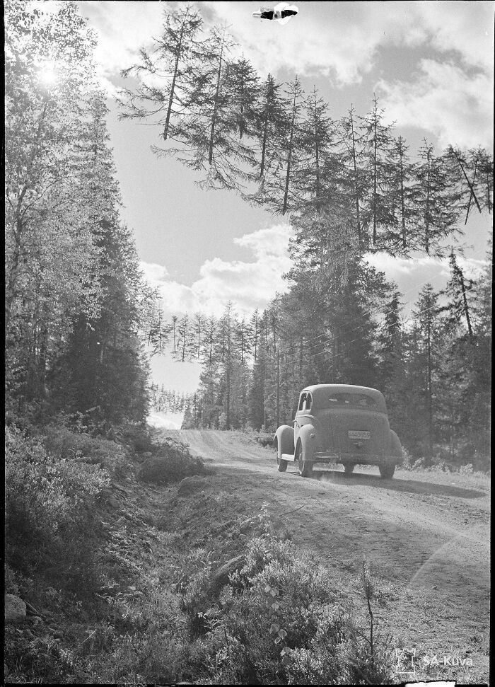 route camouflée en finlande pendant la guerre de continuation (27 juin 1941)