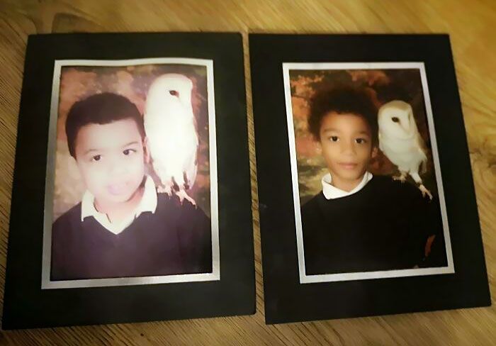 des photos de moi et de mon frère avec la même chouette à 10 ans d’intervalle