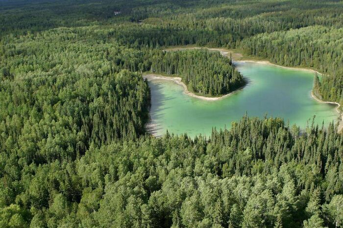le canada possède encore 91% de la couverture forestière qui existait au début de la colonisation européenne.