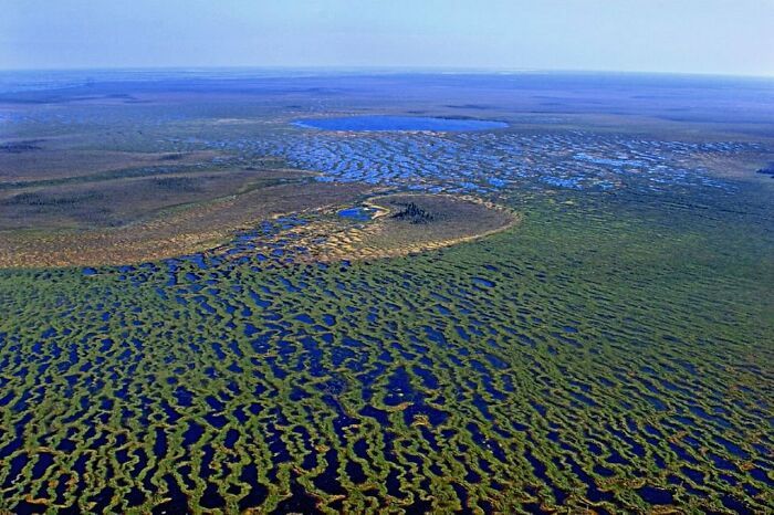 le marais de vasyugan est le plus grand marais du monde, qui se trouve en russie. le marais a la même taille que la suisse. il existe des légendes selon lesquelles atlantis se trouverait ici.