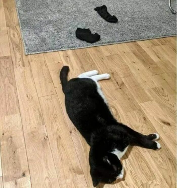 il a encore jeté ses chaussettes sur le sol