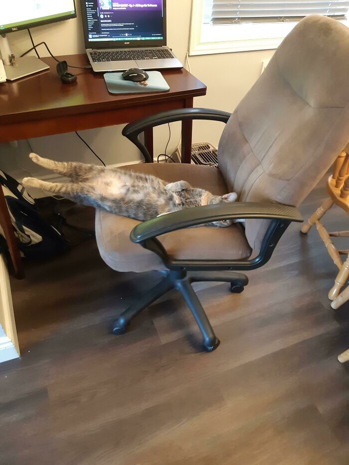 Personne ne lui a appris à utiliser le fauteuil