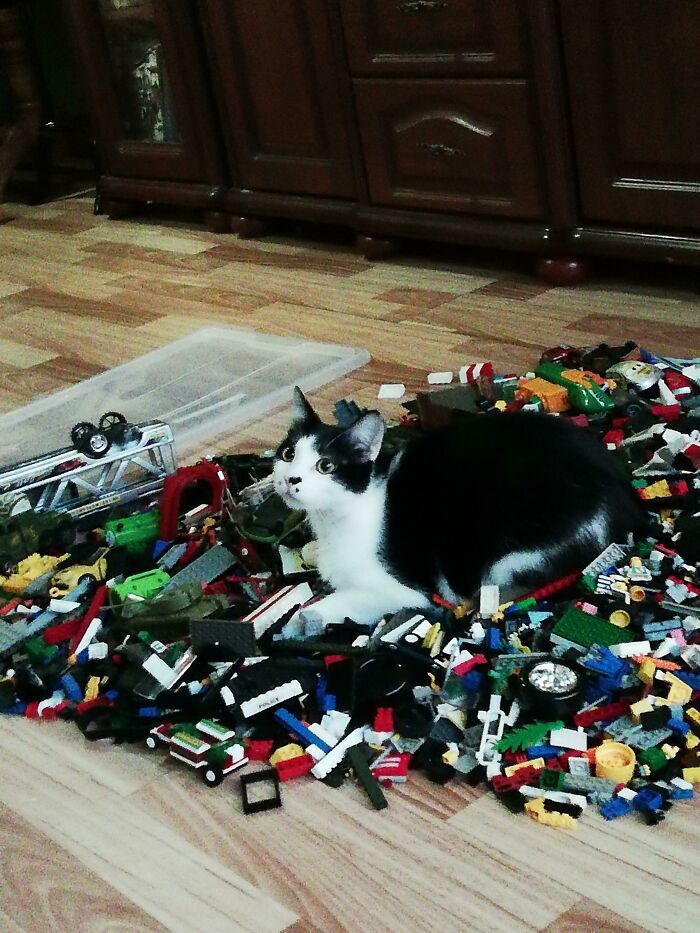 il aime s’allonger sur des legos