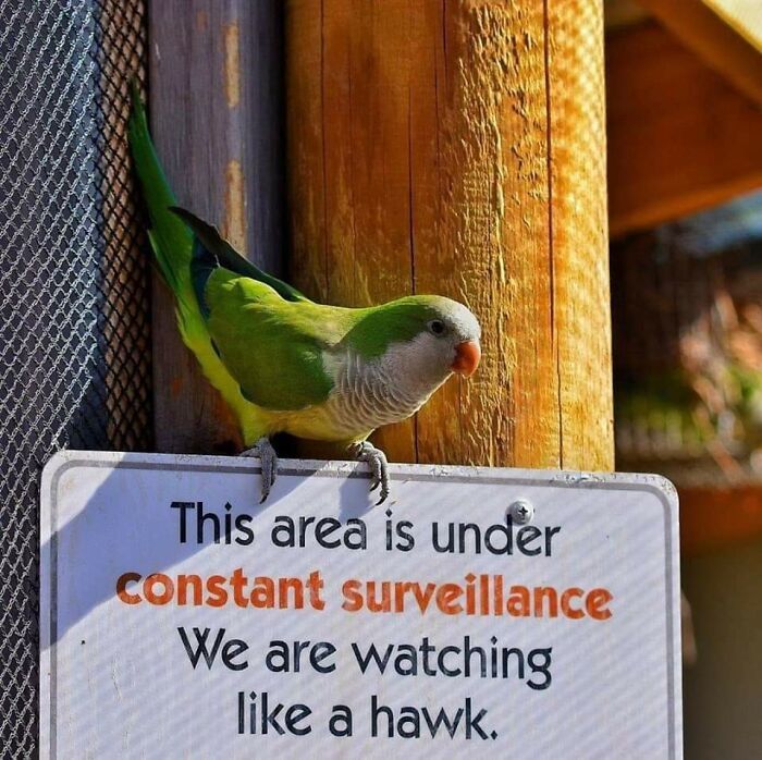 façon d’être discret, drone de surveillance