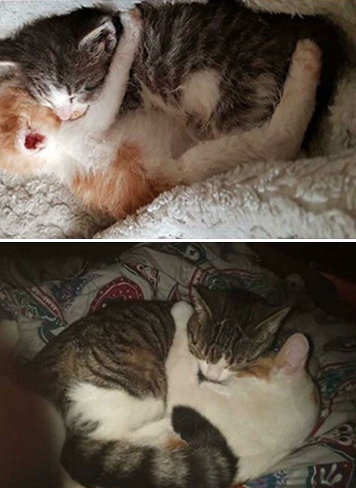 Toujours meilleures amies, 8 mois après l’adoption