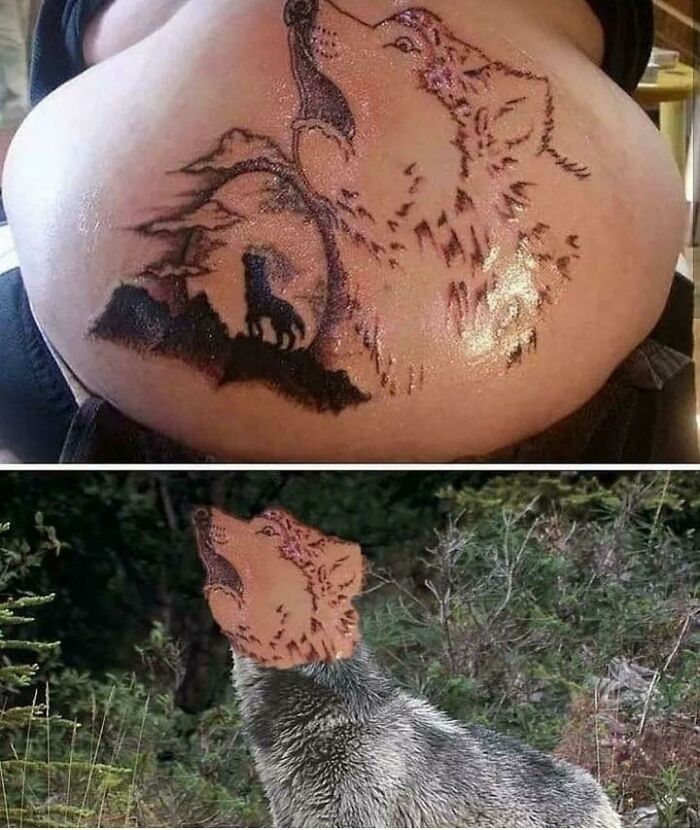 trouvé sur ig. cela me fait apprécier tous mes tatouages