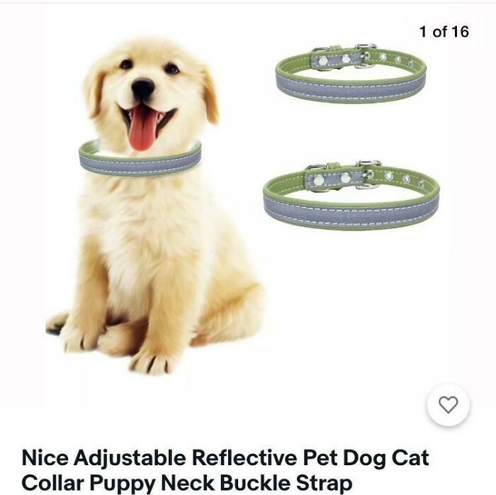 discute tant que tu veux mais ce chiot porte ce collier