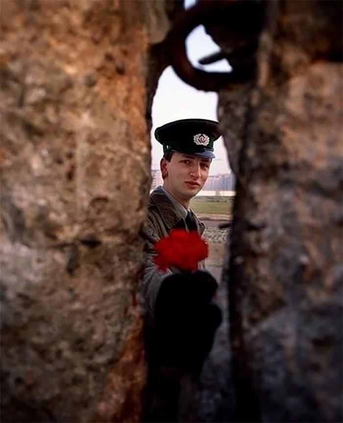 un garde-frontière est-allemand offre une fleur à travers une brèche dans le mur de berlin le matin de sa chute, 1989