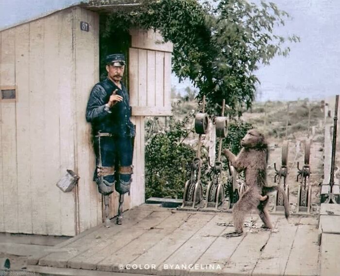l’agent de signalisation ferroviaire amputé des deux jambes, james wide, photographié travaillant aux côtés de son animal de compagnie et assistant, jack baboon, à cape town dans les années 1880.