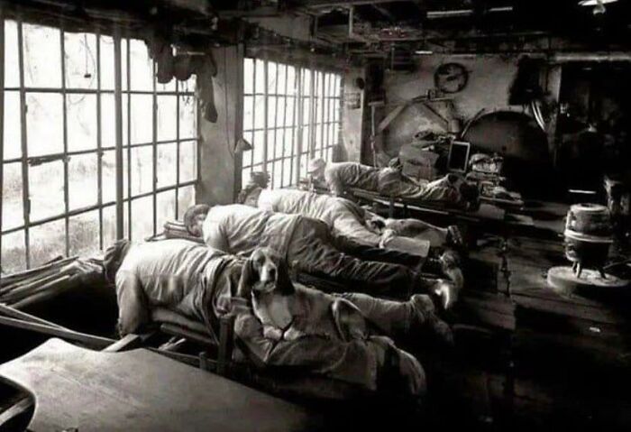 meuleuses de couteaux en france 1902, elles travaillaient couchées pour ménager leur dos et avaient des chiens assis sur leurs jambes pour se réchauffer