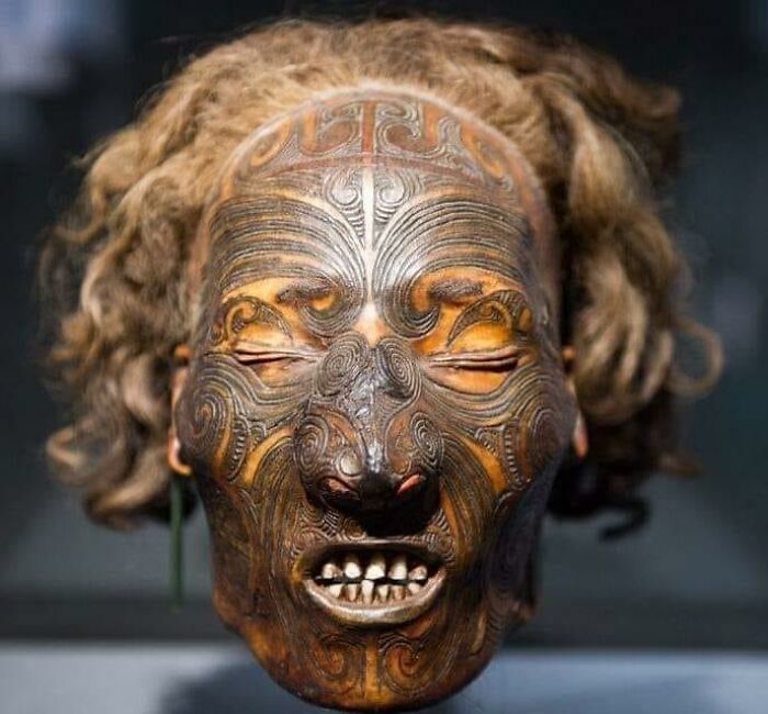 tête momifiée (mokomokai) avec tatouage facial moko