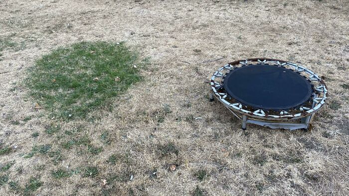 parcelle d’herbe qui a été sauvée par le trampoline pendant la vague de chaleur au Royaume-Uni en juillet