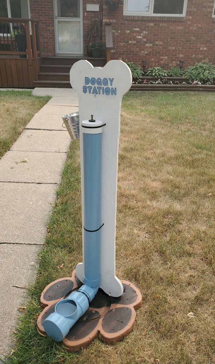 Un voisin a installé une station canine avec des friandises et de l’eau pour aider les chiens à se rafraîchir pendant la vague de chaleur que nous connaissons.