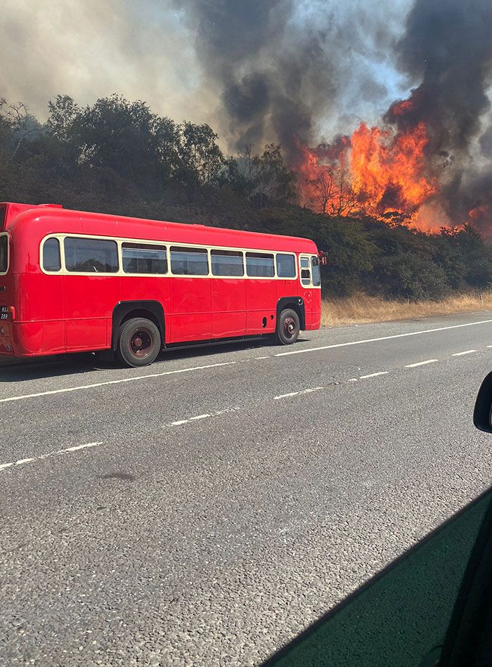 un énorme incendie fait rage sur le côté de l’a2 à dartford, uk pendant une vague de chaleur record