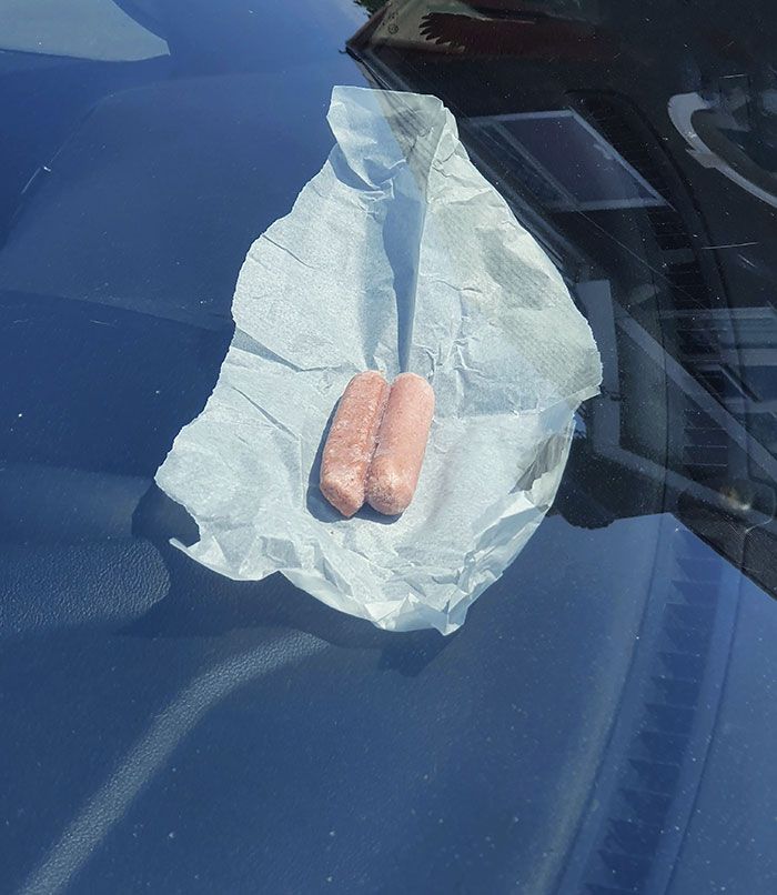 it’s been so hot today (uk) that i managed to cook vegetarian sausages in my car. it took 6 hours