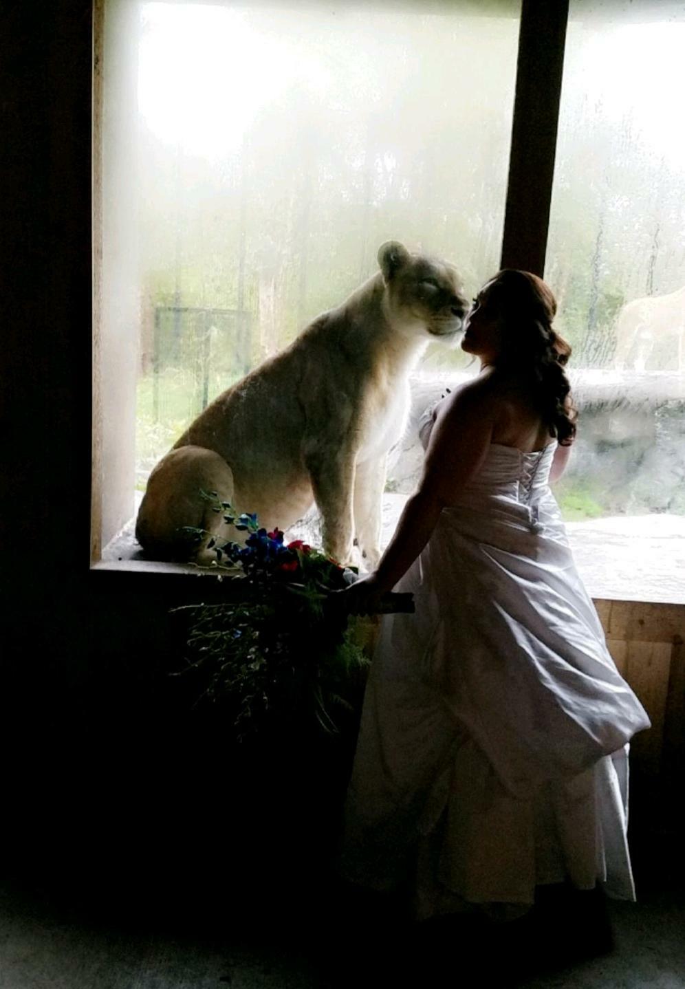 Je me suis mariée au zoo et tout ce que je voulais, c’était une photo avec l’un des lions. C’est ma photo préférée de ce jour-là.