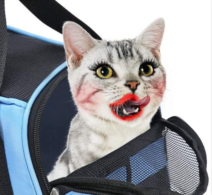 Je cherchais une cage pour chat sur amazon et je suis tombée sur cette monstruosité.