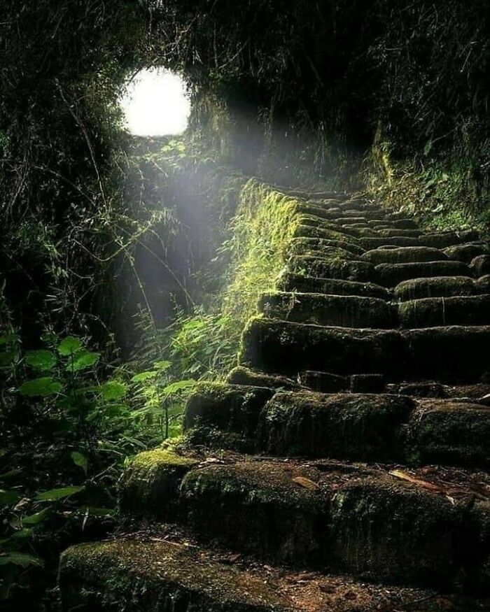 Escalier vers le ciel, l’ancienne route inca qui mène à Machu Picchu, au Pérou