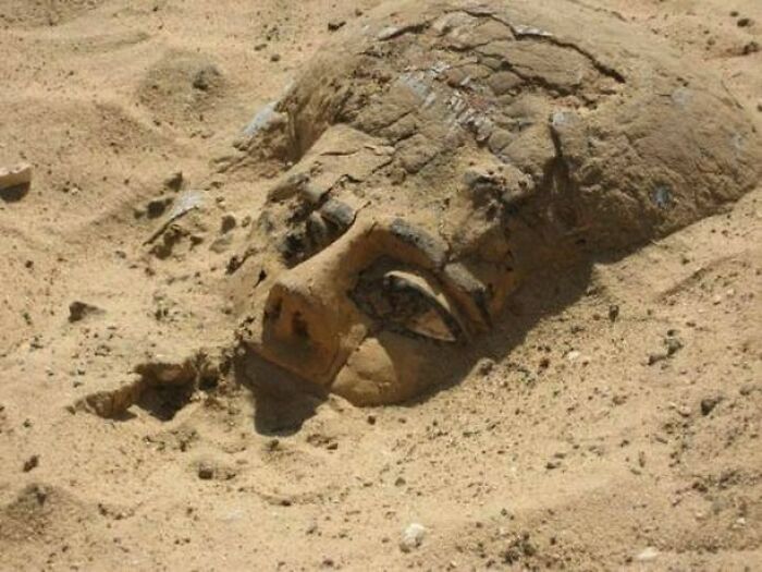 un sarcophage en bois sort du sable à abydos après des milliers d’années de silence, égypte