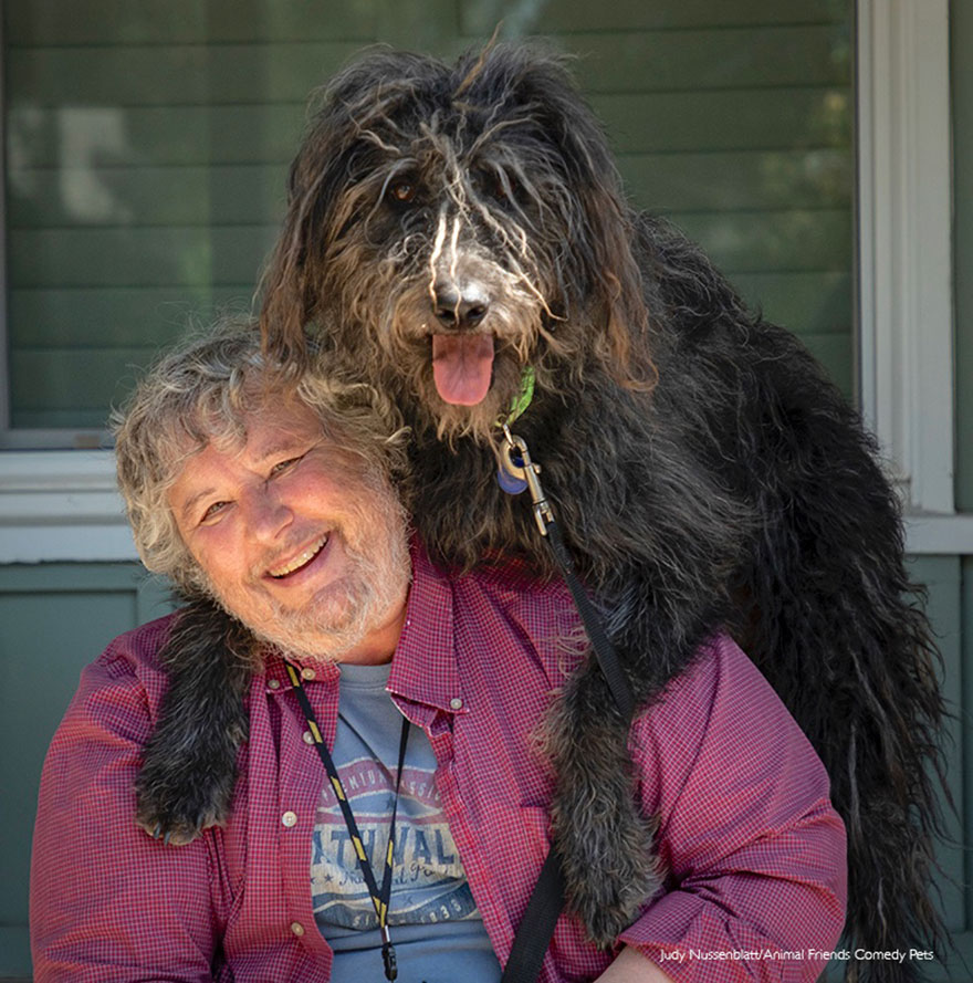 Les animaux de compagnie qui ressemblent à leurs propriétaires gagnants de la catégorie : ‘dave et dudley’ par judy nussenblatt