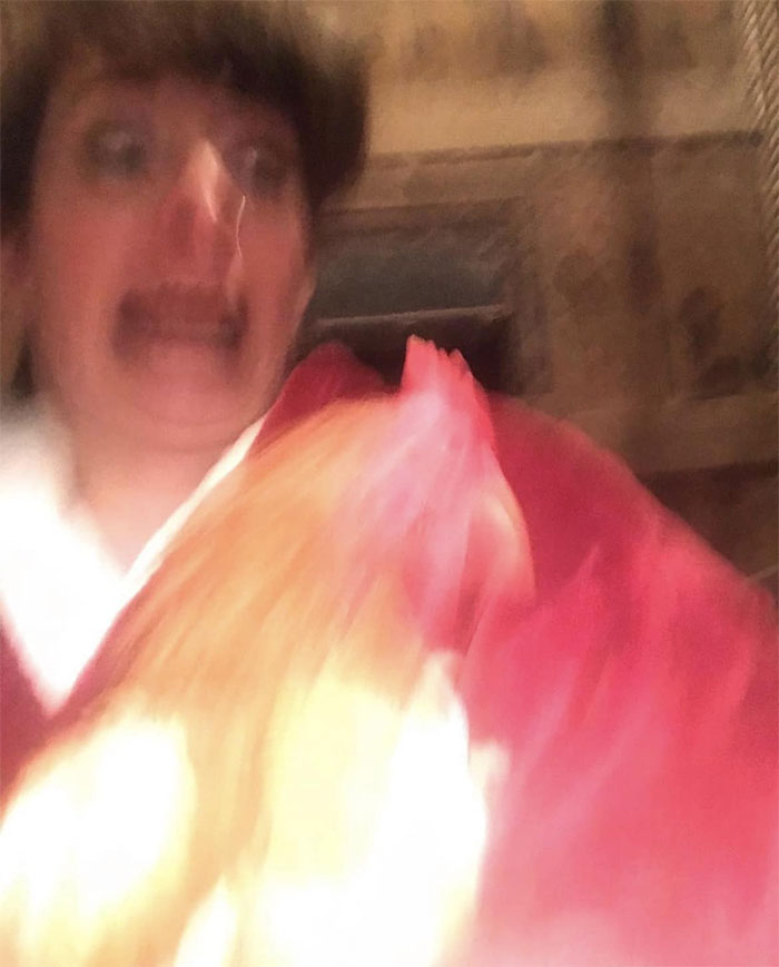 avant que je n’aie mes propres poulets et que je ne sache pas comment les ramasser