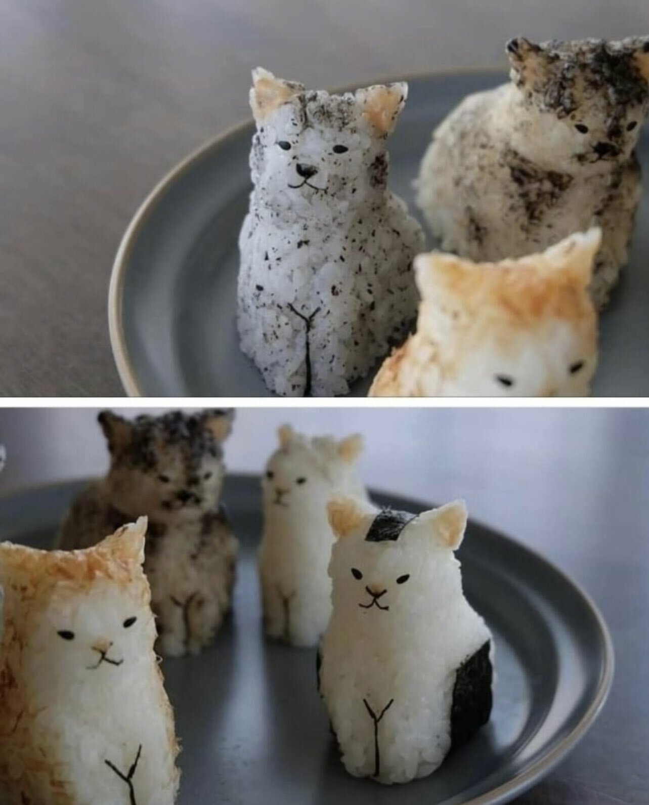 ces onigiri (boules de riz) parfaitement formés comme des chats