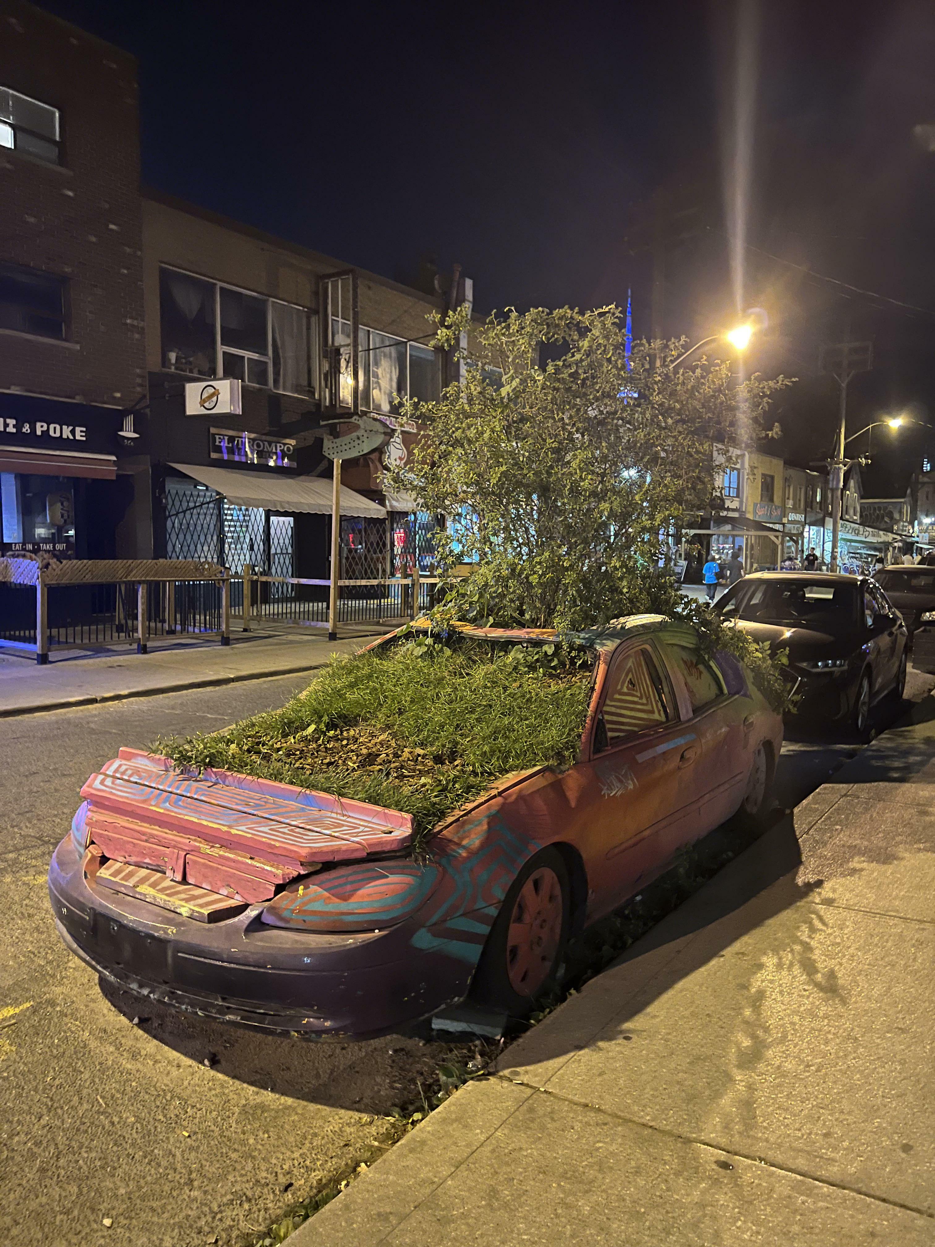 J'ai trouvé une voiture à Toronto envahie par les plantes, dans une rue animée, garée à côté d'autres voitures.