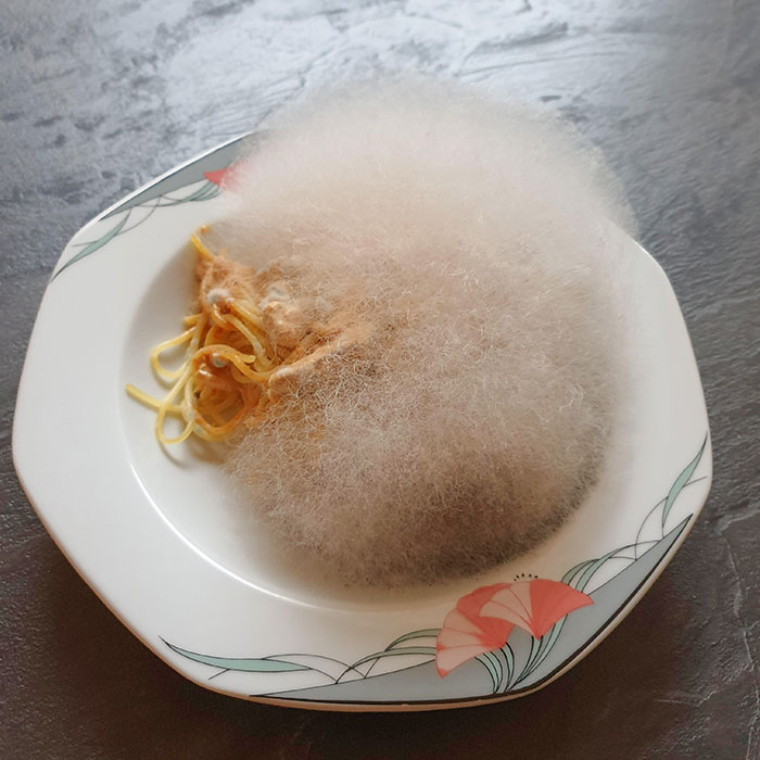 J’ai oublié les spaghettis aux champignons dans le micro-ondes pendant une semaine. Maintenant, c’est une boule de moisissure flottante.