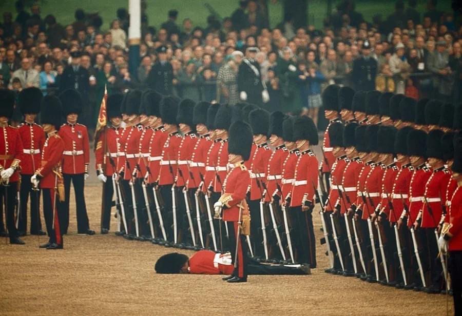 Des soldats britanniques du régiment des gardes irlandais regardent l’un des leurs s’évanouir à Londres, en Angleterre (juin 1966).