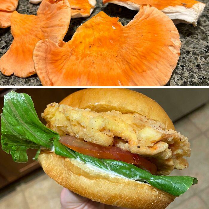 a fait un sandwich au poulet des bois frit avec du poulet des bois fourragé