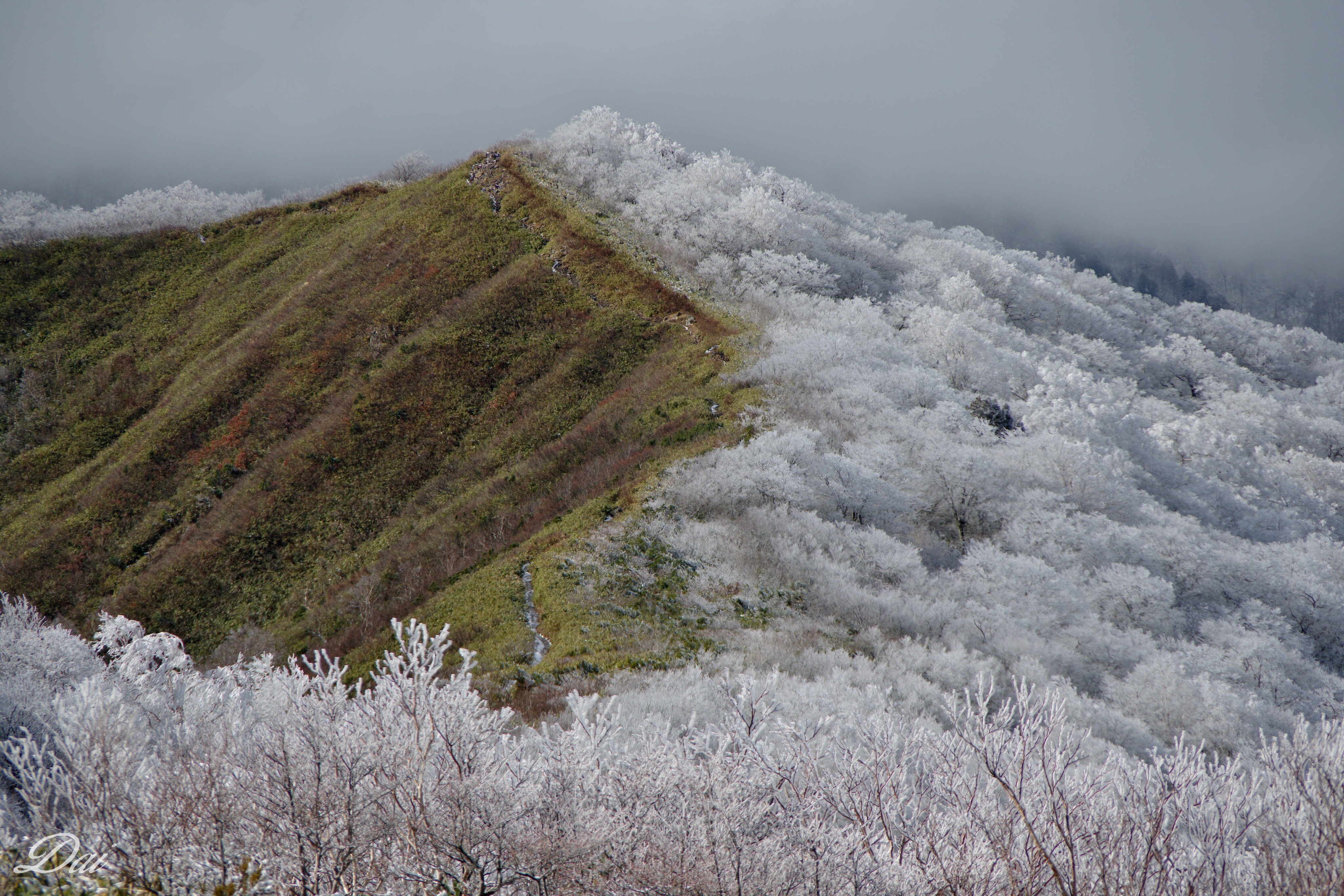 l'effet de foehn couvrant juste un côté de cette montagne