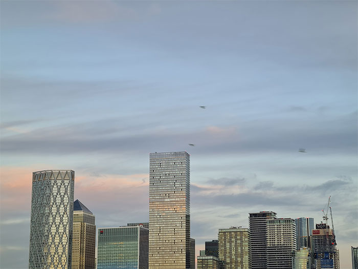 Je n’ai jamais réussi à obtenir une bonne photo des superbes perruches vertes brillantes de Londres – jusqu’à aujourd’hui.