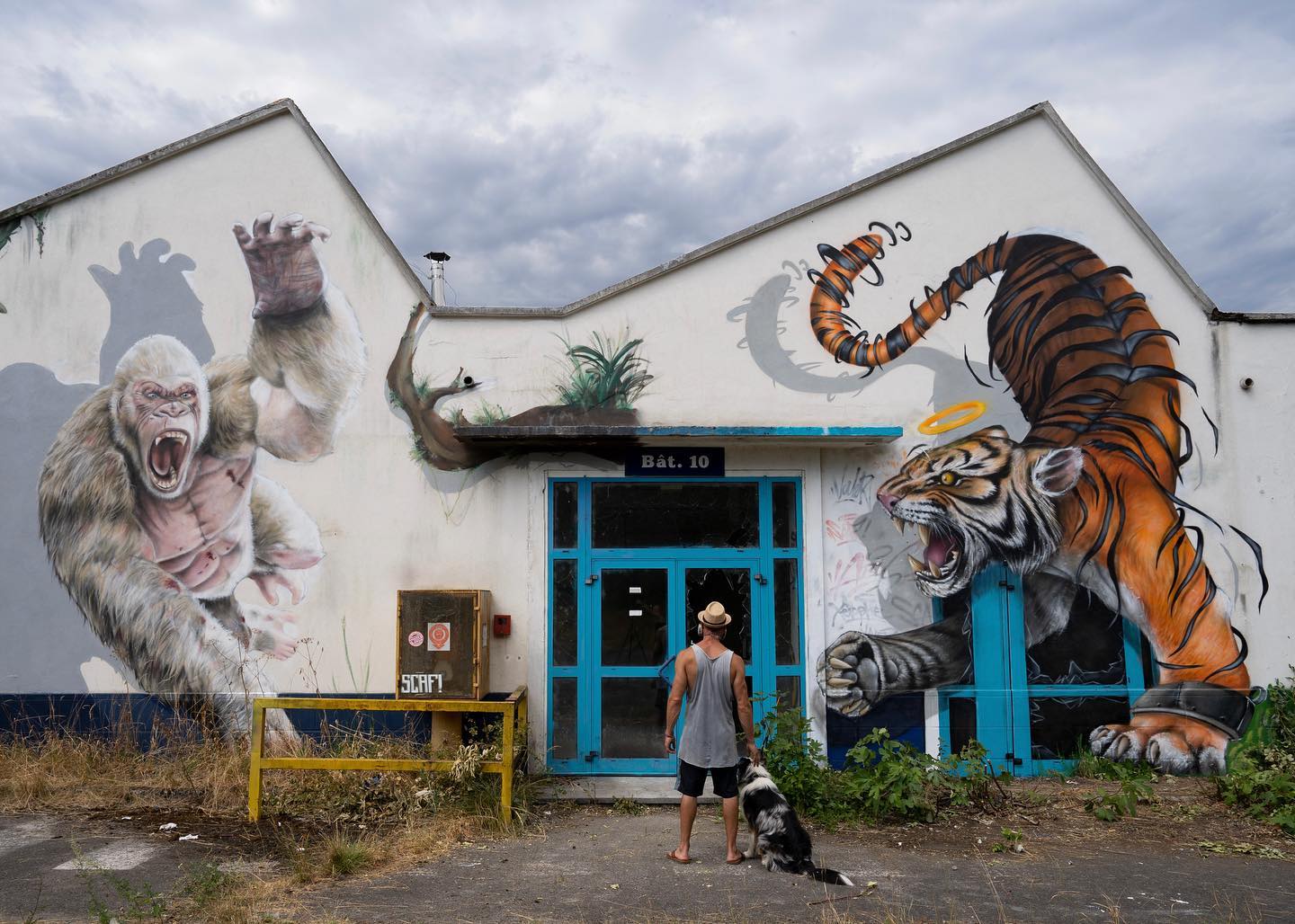 Un artiste de rue français peint des graffitis en 3D et ce n’est pas pour les âmes sensibles (26 nouvelles photos).
