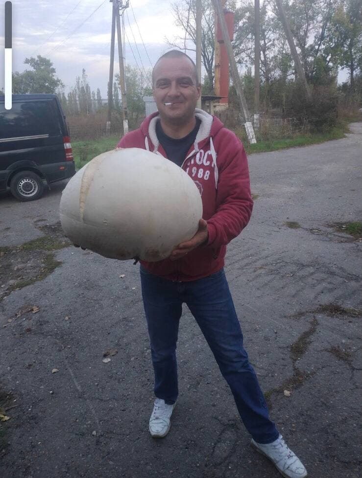 mon oncle a trouvé un énorme champignon puffball