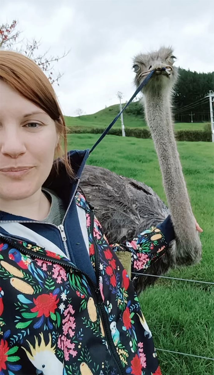Je suis particulièrement fière de cette excellente photo. Cette merveilleuse autruche n’arrêtait pas d’essayer de manger la ficelle de mon sweat à capuche. Je ne sais pas pourquoi elle a des yeux de zombie sur cette photo. Elle était tout à fait normale en vrai.