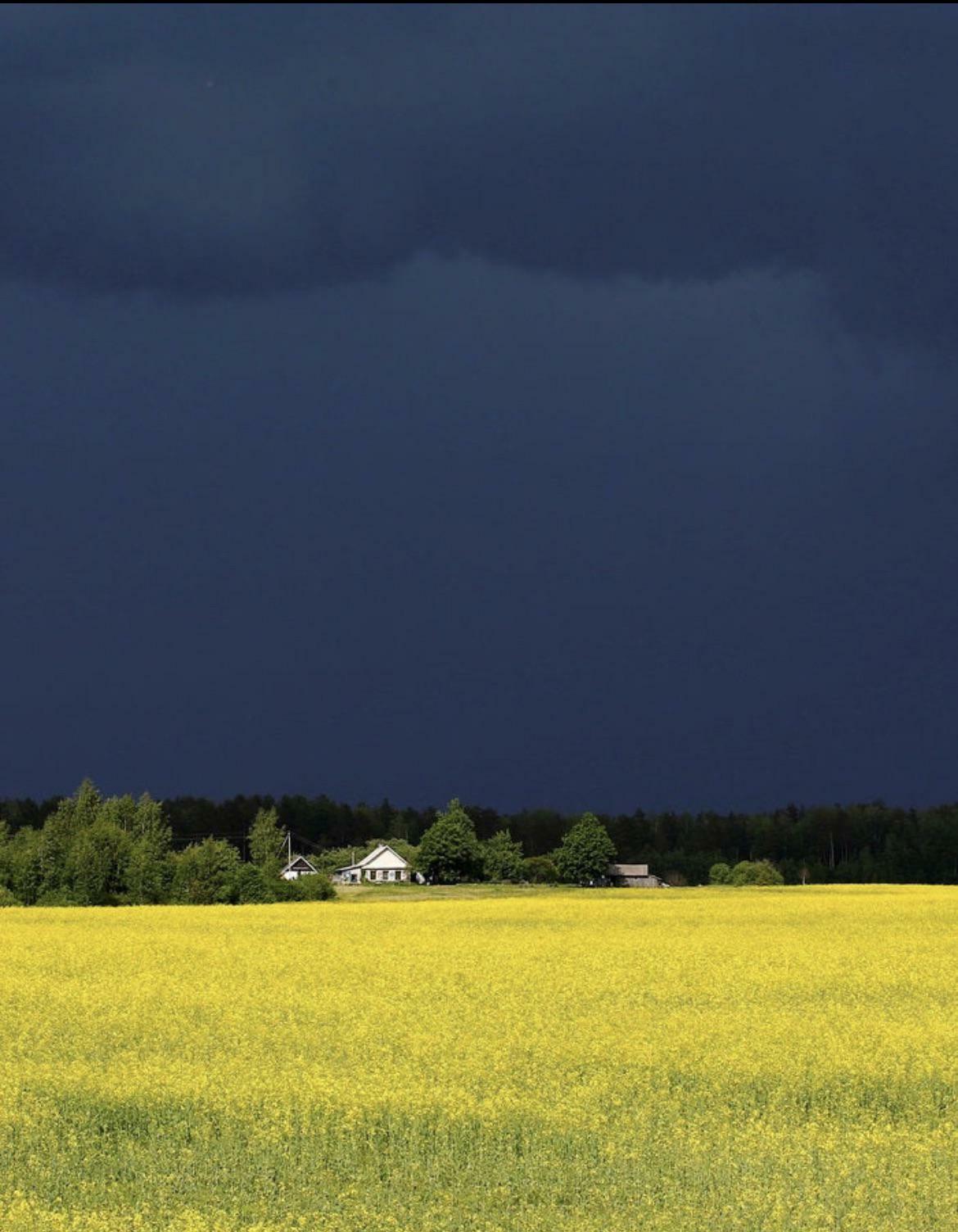 Le calme avant la tempête