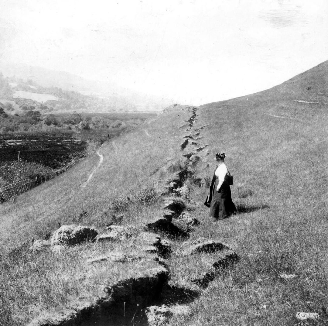 la botaniste renommée alice eastwood inspecte la fissure de faille clairement visible laissée derrière elle près d’olema, en californie, après que le tremblement de terre de 1906 ait fait trembler la faille de san andreas.