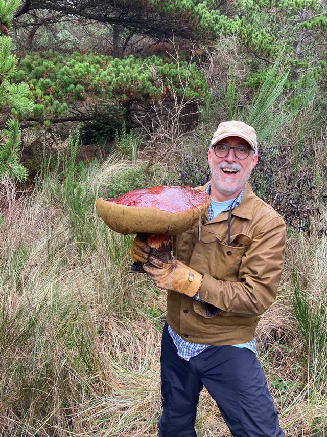 bolete massif