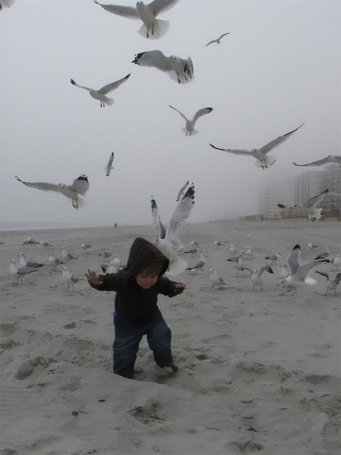 C’est ce qui arrive quand tu essaies de prendre une belle photo à la plage.