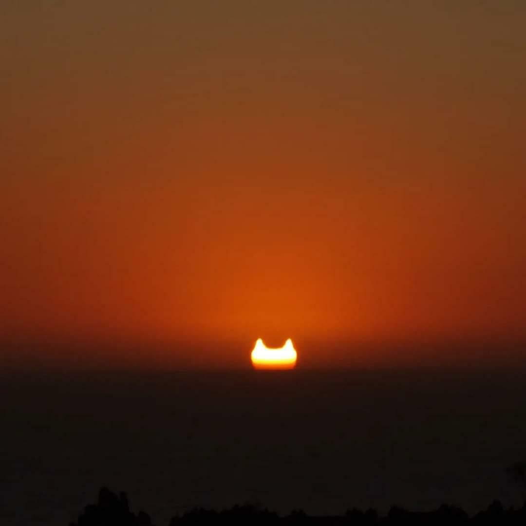 L’éclipse de soleil d’aujourd’hui, vue au coucher du soleil, ressemble à une tête de chat géante.