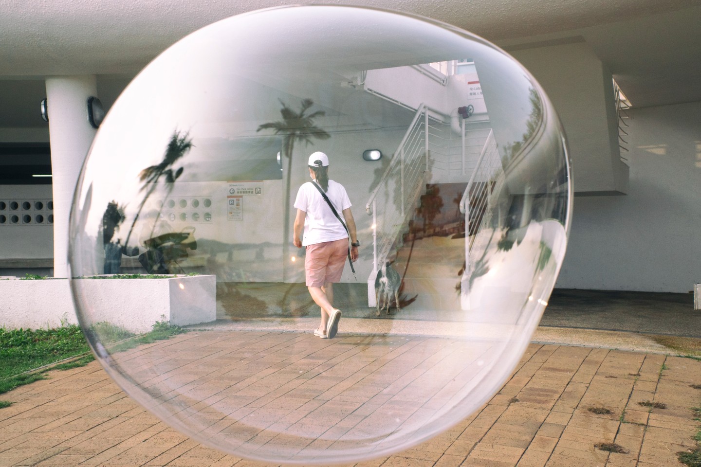 46 photos accidentellement brillantes d’edas wong (nouvelles photos)