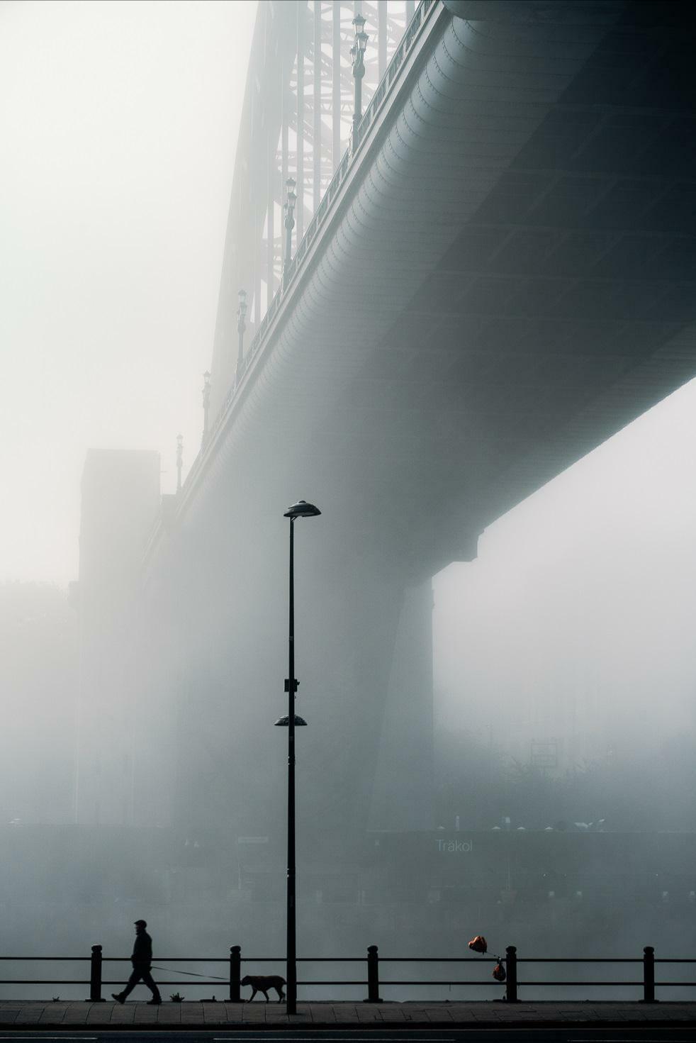 itap d’un homme et de son chien dans le brouillard