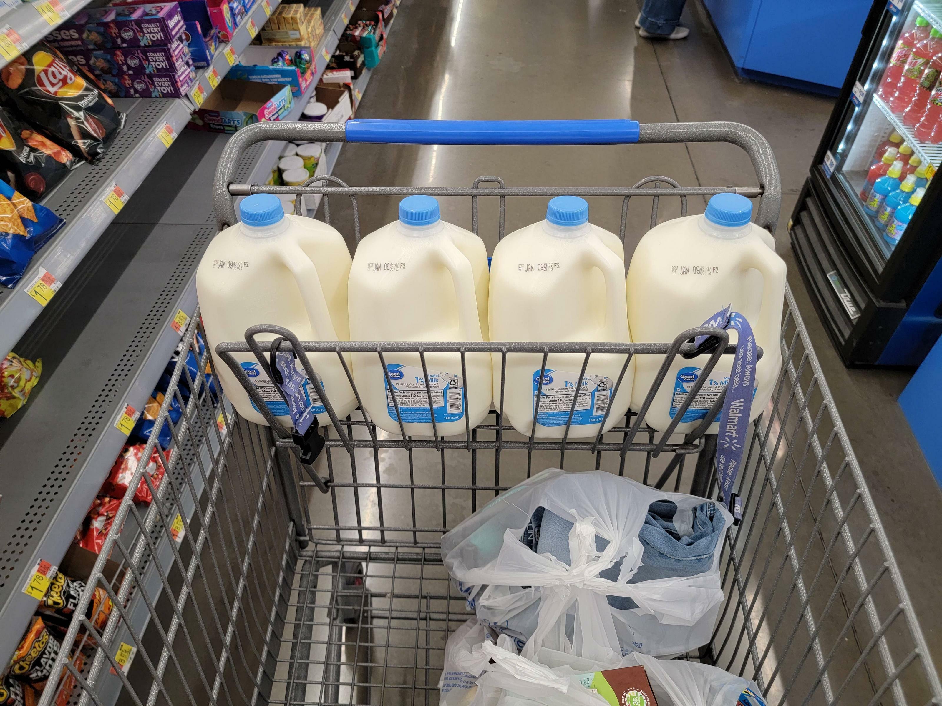 il s'avère que le siège enfant d'un chariot walmart fait exactement 4 gallons de large