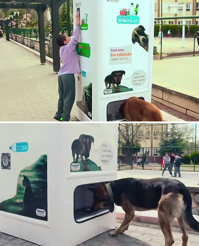 Ce distributeur automatique à istanbul distribue de la nourriture pour les chiens sans abri lorsque les gens y déposent des bouteilles pour le recyclage.