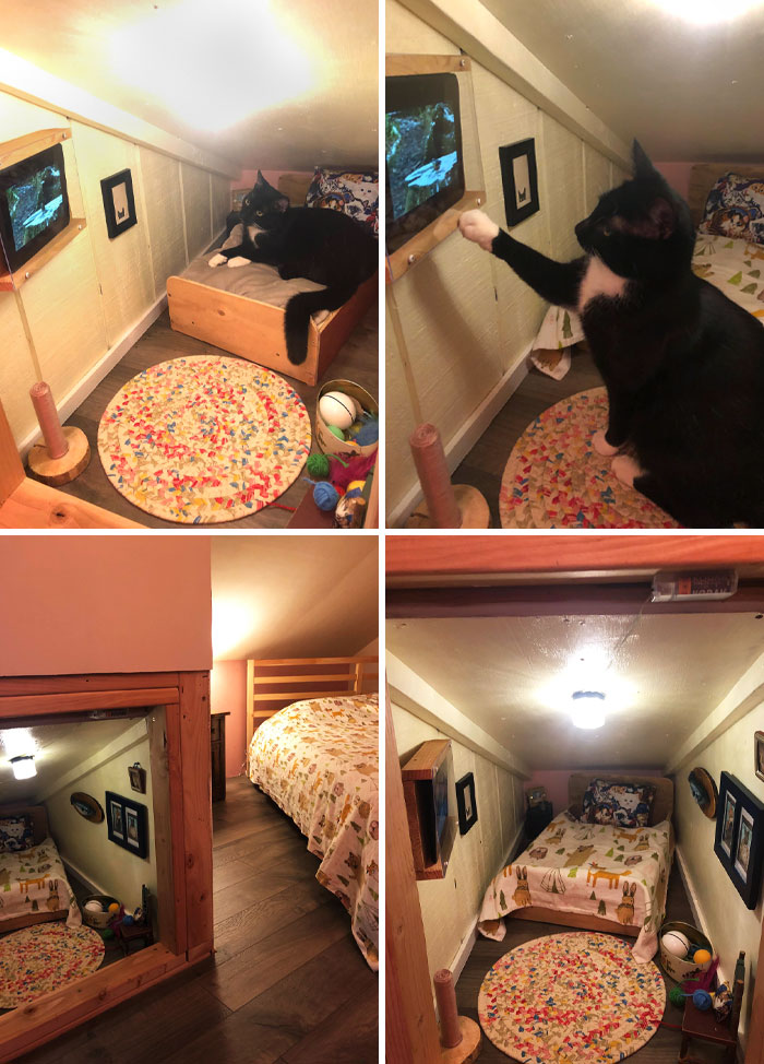 La chambre du chat est terminée. La télé des oiseaux est allumée