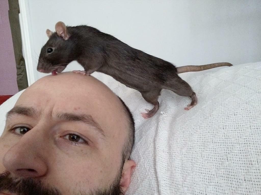 Bonjour, je t’aime