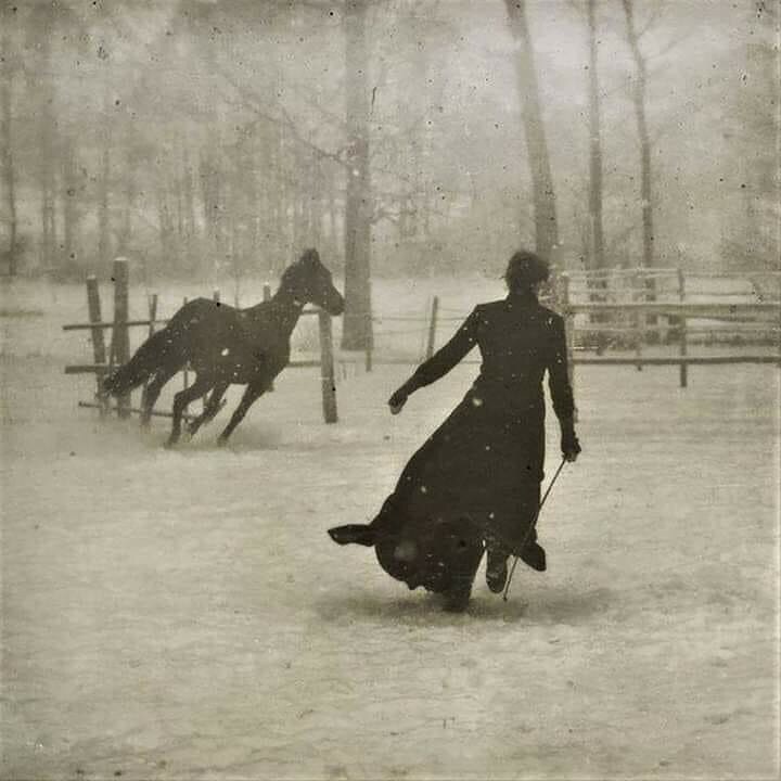 dressage de chevaux par félix thiollier. photo prise en 1899